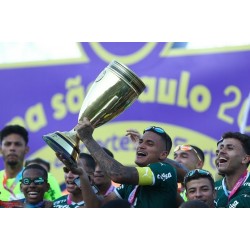 Palmeiras Sub 20 em conquista inédita é bicampeão da Copa São Paulo de Futebol Junior